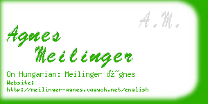 agnes meilinger business card